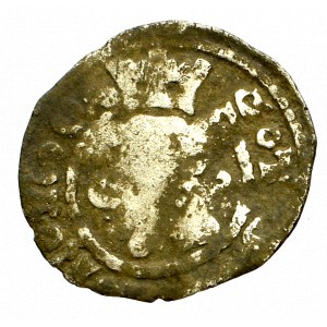 Pommern, Stettin, 1/4 groschen without date