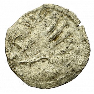 Pommern, Stettin, 1/4 groschen without date