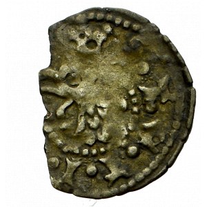 Pommern, Stettin, 1/4 groschen without date