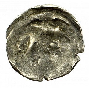 Pommern, Kolberg, Denarius without date