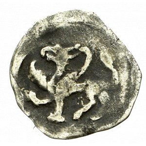 Pommern, Stettin, Denarius without date
