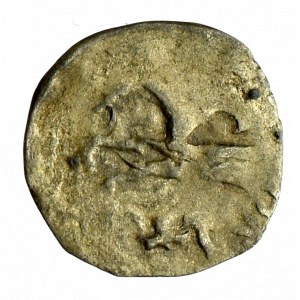 Pommern, Cammin in Pommern, Denarius without date