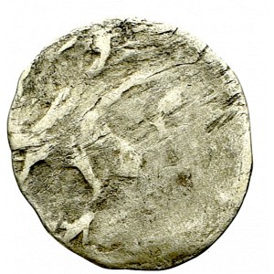 Pommern, Pyritz, Denarius without date