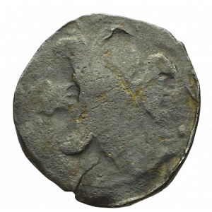 Pommern, Treptow am der Rega, Denarius without date