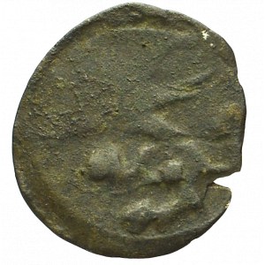 Pommern, Stolp, Denarius without date