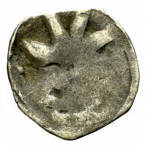 Pommern, Usedom, Denarius without date