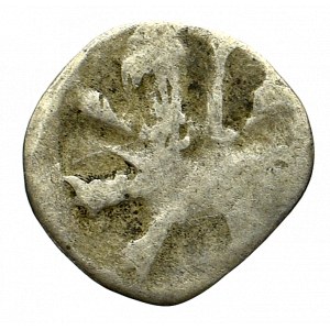 Pommern, Pyritz, Denarius without date