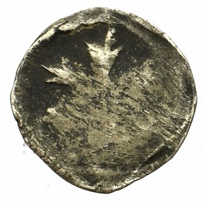 Pommern, Gartz, Denarius without date