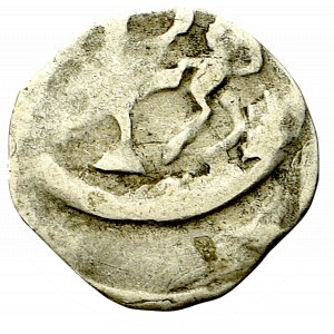 Pommern, Stettin, Denarius without date