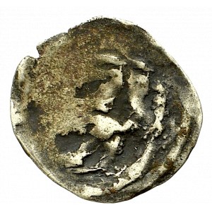 Pommern, Stettin, Denarius without date