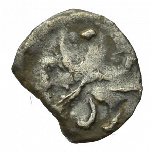 Pommern, Pyritz, Denarius without date