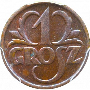 II Rzeczpospolita, 1 grosz 1939 - NG MS64 BN