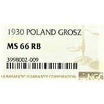 II Republic of Poland, 1 groschen 1930 - NGC MS66 RB