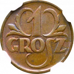 II Rzeczpospolita, 1 grosz 1925 - NGC MS65 BN