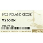 II Republic of Poland, 1 groschen 1925 - NGC MS65 BN