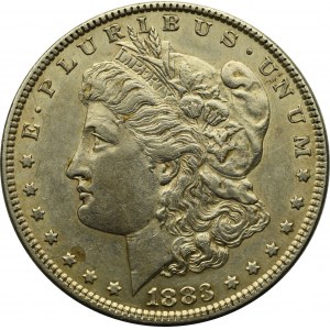 USA, Morgan dollar 1883