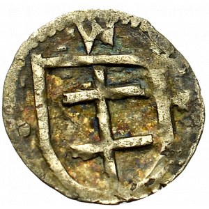 Vlaidslaus II Jagello, Denarius without date, Cracow