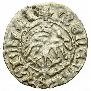 Casimir IV Jagellon, Halfgroat without date, Cracow