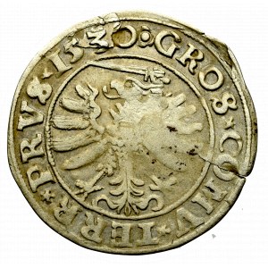 Zygmunt I Stary, Grosz dla ziem pruskich 1530, Toruń
