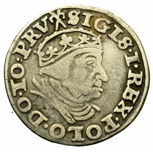 Sigismund I the Old, 3 groschen 1540, Danzig