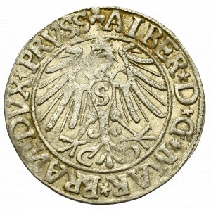 Germany, Preussen, Albrecht Hohenzollern, Groschen 1544, Konigsberg