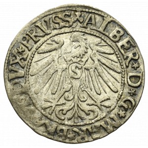 Prusy Książęce, Albrecht Hohenzollern, Grosz 1545, Królewiec