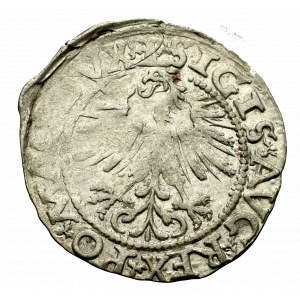 Sigismund II Augustus, Halfgroat 1562, Vilnius