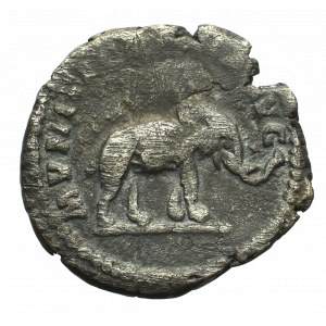 Cesarstwo Rzymskie, Septymiusz Sewer, Denar - rzadki Słoń