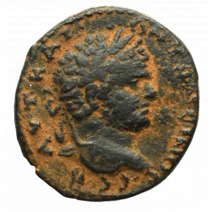 Roman Provincial, Syria, Caracalla, Ae Antiochia