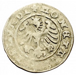 Sigismund I the Old, Halfgroat 1508, Cracow