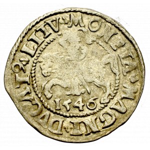 Sigismund II Augustus, Halfgroat 1546, Vilnius