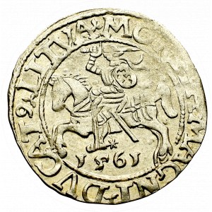 Sigismund II Augustus, Halfgroat 1561, Vilnius