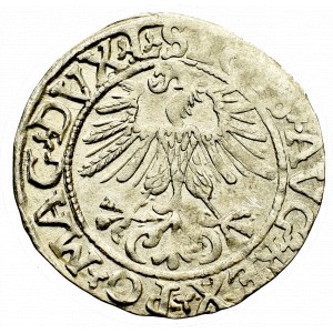 Sigismund II Augustus, Halfgroat 1561, Vilnius