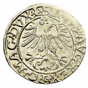 Zygmunt II August, Półgrosz 1561, Wilno - L/LITVA