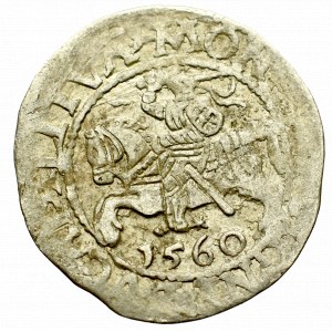 Sigismund II Augustus, Halfgroat 1560, Vilnius