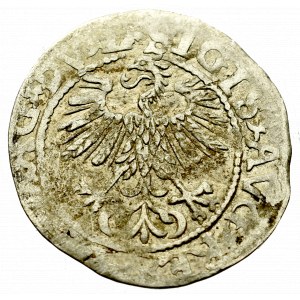 Sigismund II Augustus, Halfgroat 1560, Vilnius