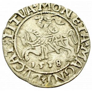 Sigismund II Augustus, Halfgroat 1558, Vilnius