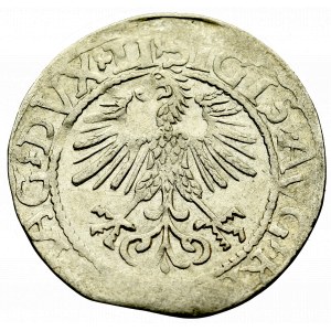 Sigismund II Augustus, Halfgroat 1561, Vilnius