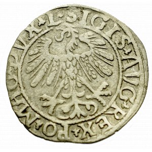 Sigismund II Augustus, Halfgroat 1558, Vilnius