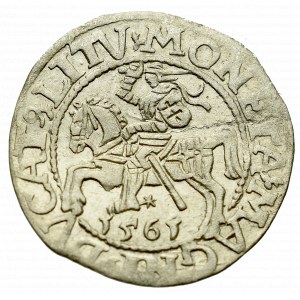 Sigismund II Augustus, Halfgroat 1561, Vilnius