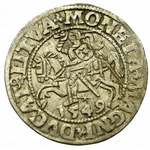 Sigismund II Augustus, Halfgroat 1549, Vilnius