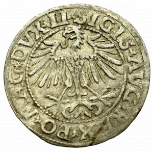 Sigismund II Augustus, Halfgroat 1549, Vilnius