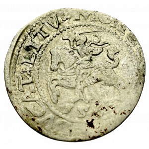 Sigismund II Augustus, Halfgroat 1563, Vilnius