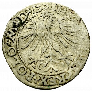 Sigismund II Augustus, Halfgroat 1563, Vilnius