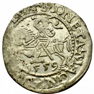 Sigismund II Augustus, Halfgroat 1559, Vilnius