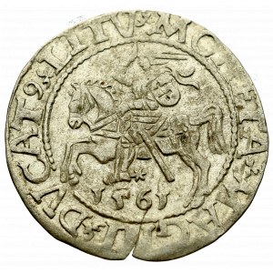 Sigismund II Augustus, Halfgroat 1561, Vilnius