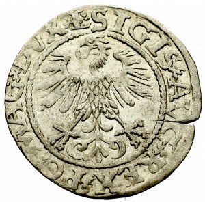 Sigismund II Augustus, Halfgroat 1561, Vilnius