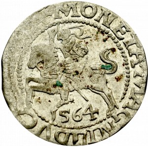 Sigismund II Augustus, Halfgroat 1564, Vilnius