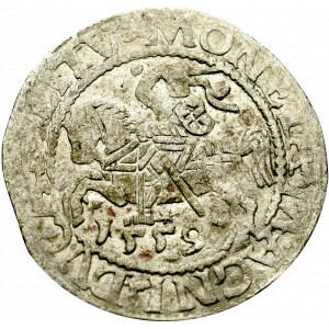 Sigismund II Augustus, Halfgroat 1559, Vilnius