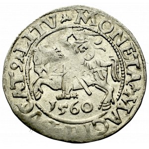 Sigismund II Augustus, Halfgroat 1560, Vilnius